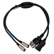 D-Tech Diagnostic Tool | OEM Interface With Cables
