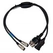 D-Tech Diagnostic Tool | OEM Interface With Cables