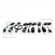 cojali diagnostic tool